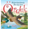 Sürüsünü Arayan Ördek