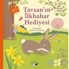 Tavşan’ın İlkbahar Hediyesi – Doğada Bir Yıl