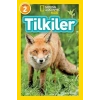 Tilkiler - Seviye 2