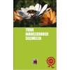 Türk Manilerinden Seçmeler