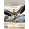 Türkiye’nin Göçmen Kuşları