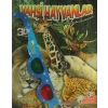 Vahşi Hayvanlar - 3D Gözlük Hediyeli