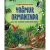 Yağmur Ormanında