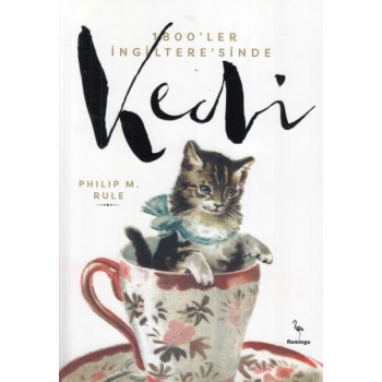 1800ler İngilteresinde Kedi