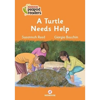 A Turtle Needs Help