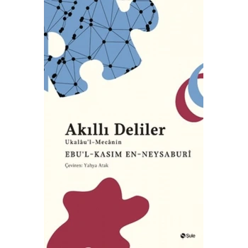 Akıllı Deliler Kitabı