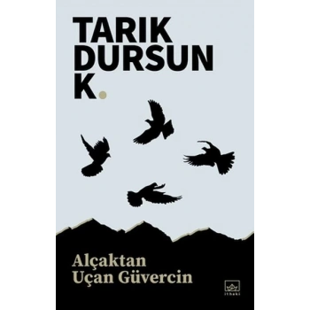 Alçaktan Uçan Güvercin