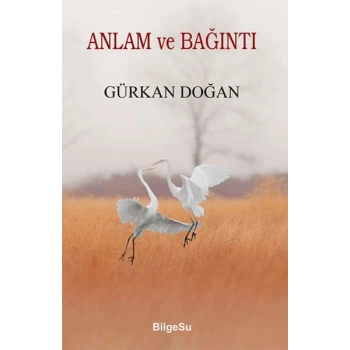 Anlam ve Bağıntı