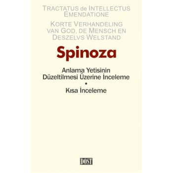 Anlama Yetisinin Düzeltilmesi Üzerine İnceleme