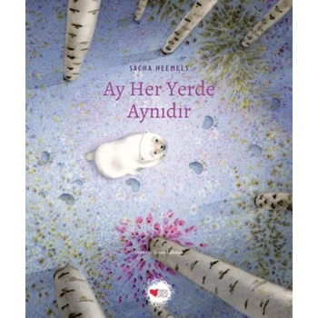 Ay Her Yerde Aynıdır