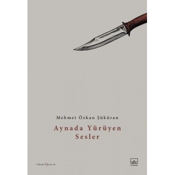 Aynada Yürüyen Sesler