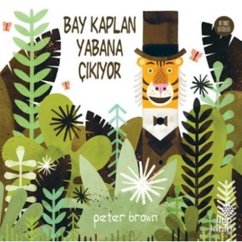 Bay Kaplan Yabana Çıkıyor