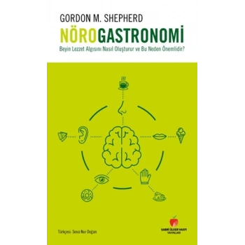 Beyin Lezzet Algısını Nasıl Oluşturur ve Bu Neden Önemlidir?