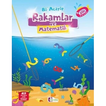 Bi Acayip Rakamlar Ve Matematik