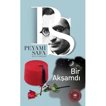 Bir Akşamdı