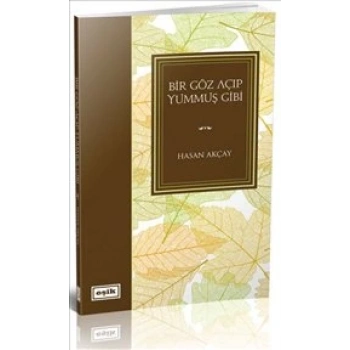 Bir Göz Açıp Yummuş Gibi