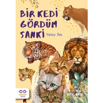 Bir Kedi Gördüm Sanki