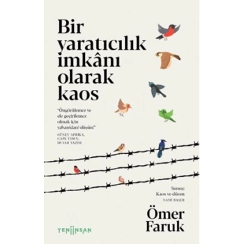 Bir Yaratıcılık İmkânı Olarak Kaos