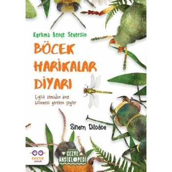 Böcek Harikalar Diyarı