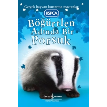 Böğürtlen Adında Bir Porsuk