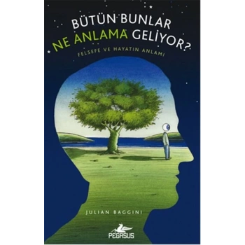 Bütün Bunlar Ne Anlama Geliyor?