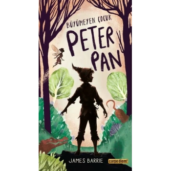 Büyümeyen Çocuk Peter Pan