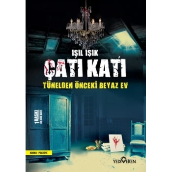 Çatı Katı
