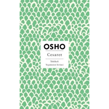 Cesaret - Tehlikeli Yaşamanın Sevinci