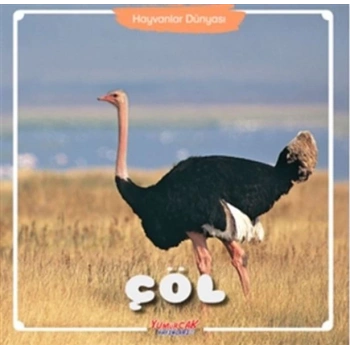 Çöl - Hayvanlar Dünyası