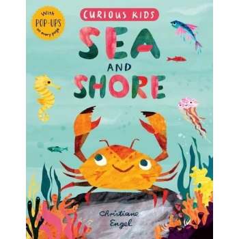 Curious Kids: Sea And Shore