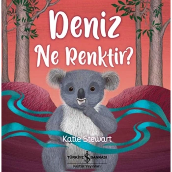Deniz Ne Renktir?