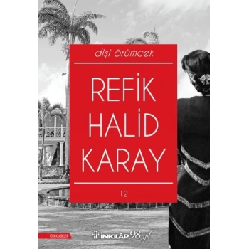 Dişi Örümcek (Yeni Kapak)