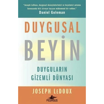Duygusal Beyin: Duyguların Gizemli Dünyası