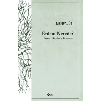 Erdem Nerede? Seçme Hikayeler ve Denemeler