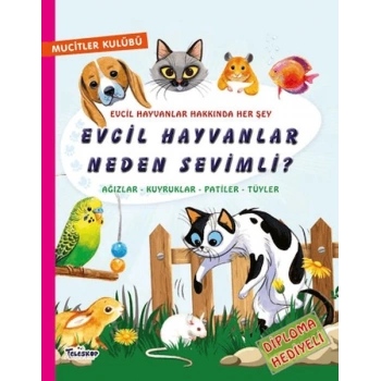Evcil Hayvanlar Neden Sevimli?