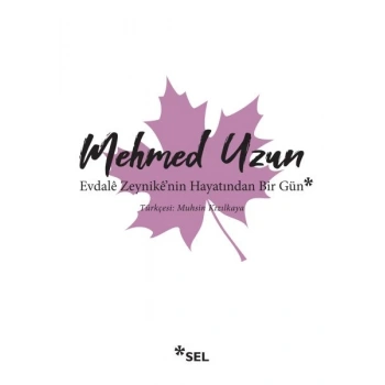 Evdale Zeynikenin Hayatından Bir Gün