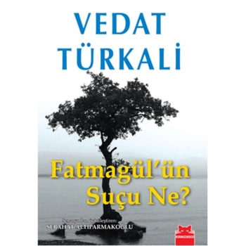 Fatmagülün Suçu Ne?