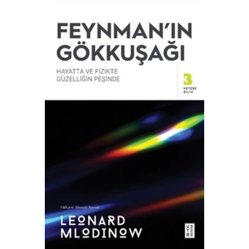Feynman’ın Gökkuşağı