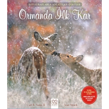 Fotoğraflarla Anlatılan Öyküler - Ormanda İlk Kar