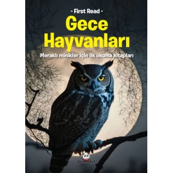 Gece Hayvanları