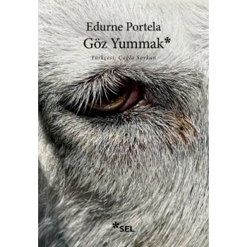Göz Yummak