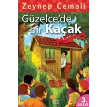 Güzelcede Bir Kaçak, Memo