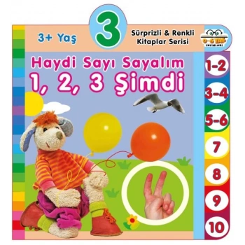 Haydi Sayı Sayalım 1,2,3 Şimdi (3+Yaş)