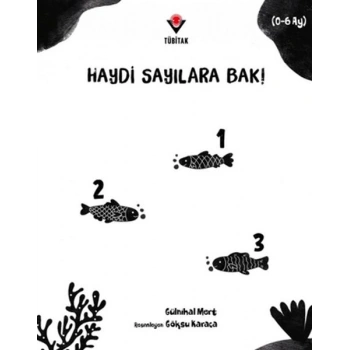 Haydi Sayılara Bak!
