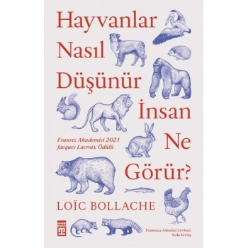 Hayvanlar Nasıl Düşünür İnsanlar Ne Görür?