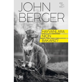 Hayvanlara Niçin Bakarız?