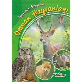 Hayvanları Tanıyorum Orman Hayvanları