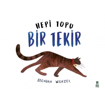 Hepi Topu Bir Tekir