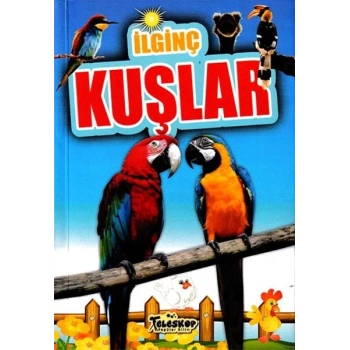 İlginç Kuşlar - İlginç Bilgiler Serisi