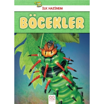 İlk Hazinem - Böcekler